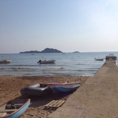 Profile Picture of Colette Hughes (@ColetteH100) on Twitter