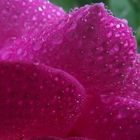 Profile Picture of Robin Stickle (@robin-stickle) on Quora