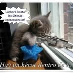 Profile Picture of Alberto Galczynski (@alberto.galczynski) on Facebook