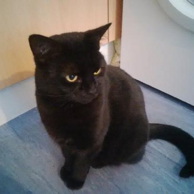 Profile Picture of Emma Bayley (@EmmaJayBayley) on Twitter