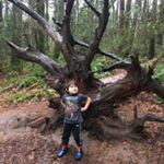Profile Picture of Christian Hollifield-Lopez (@hollifieldlopez) on Instagram