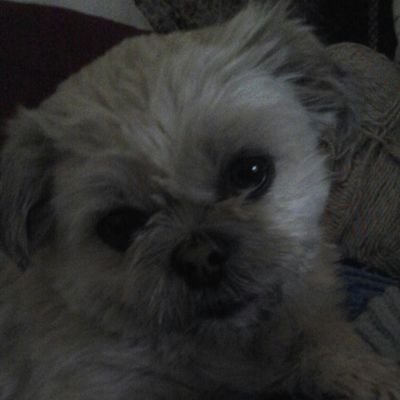 Profile Picture of Carly Weiler (@Strykerz04) on Twitter