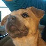 Profile Picture of jimq (@jimquach638) on Instagram