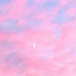 이태호 - Instagram Profile Picture of 이태호 (@l_____th____16) on Instagram