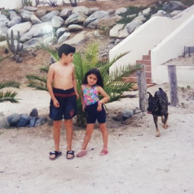 Profile Picture of Sebastián Flores M. (@mechtac) on Twitter