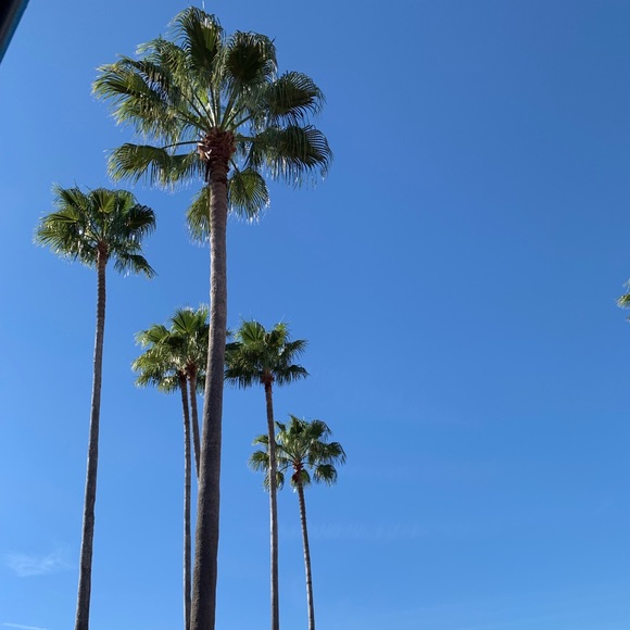 Profile Picture of Bella Cabazolo (@bellacabazolo) on Poshmark