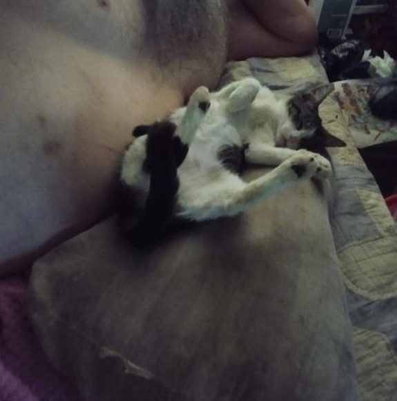 Profile Picture of Mary Mccrohan (@mccrohanmary) on Poshmark