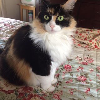 Nancy Swing - Facebook Profile Picture of Nancy Swing (@nancy.swing.7) on Facebook