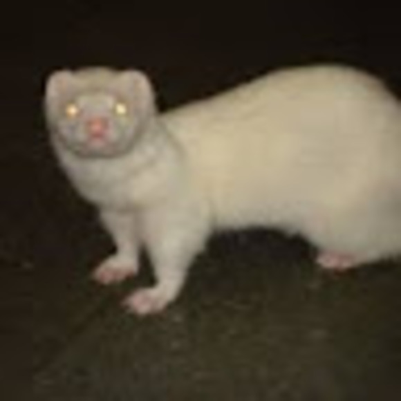 Profile Picture of Ryan Hammerstone (@rypie009) on Poshmark