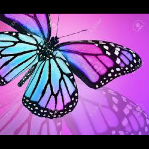 Profile Picture of Kailey Ellis (@wombman) on Poshmark