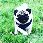 Tolga Sezer - Instagram Profile Picture of Tolga Sezer (@tolgaszr1903) on Instagram