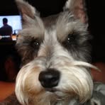 Profile Picture of Craig McKeever (@craig.mckeever.142) on Facebook