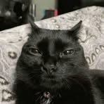 Profile Picture of La Estrella Sabik (@la.estrella.sabik) on Facebook