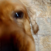 Profile Picture of Ava Ramirez (@avaramirez9997) on Youtube