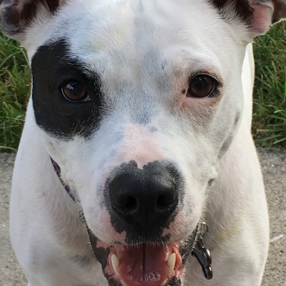 Profile Picture of Elizabeth Nafe (@slagorsmom) on Poshmark