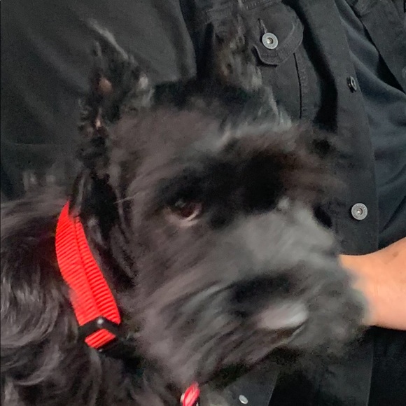 Profile Picture of Jesse Pulido (@pulido_jr) on Poshmark