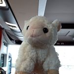 Profile Picture of LOUrs en peluche (@loursenpeluchee) on Instagram