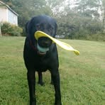 Profile Picture of Debbie Hauri (@debbie.hauri.7) on Facebook