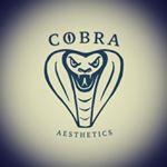 Profile Picture of Jacob Pomroy | Posing Coach (@cobra.aesthetics_) on Instagram