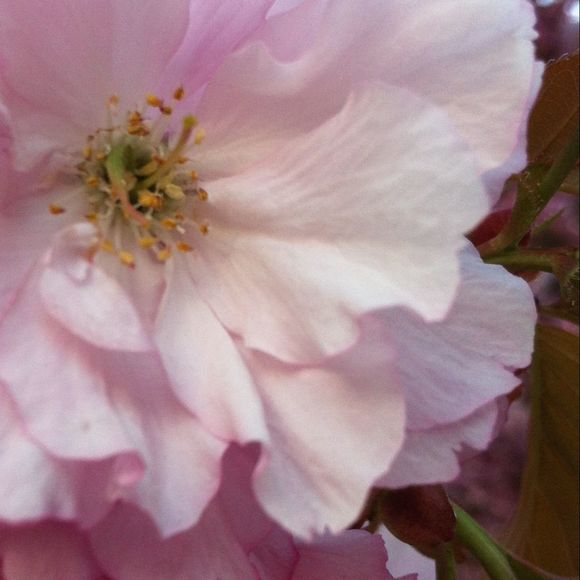 Linda Khumalo - Poshmark Profile Picture of Linda Khumalo (@mashali) on Poshmark