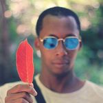 Profile Picture of David (@like_the_legend_of_the_phoenix) on Instagram