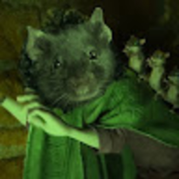 Profile Picture of Suna Rintaro (@sunarintaro235) on Poshmark