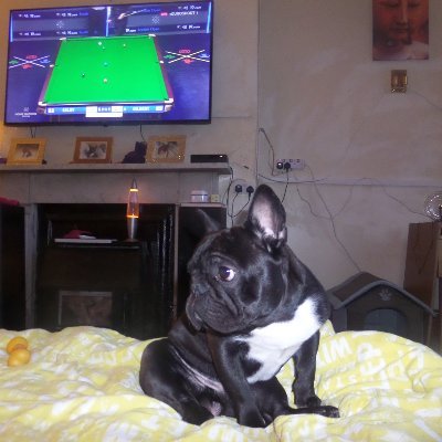 Profile Picture of Andrew Cusick (@ac1404) on Twitter