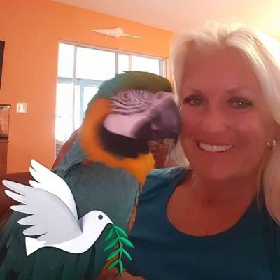 Profile Picture of Betty McNally (@BettyMcNally4) on Twitter