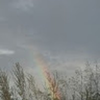 Profile Picture of Miranda Ayala (@miranda-ayala-18) on Quora