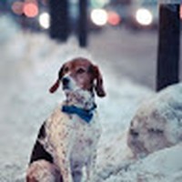 Joshua Celestine - Quora Profile Picture of Joshua Celestine (@joshua-celestine-9) on Quora