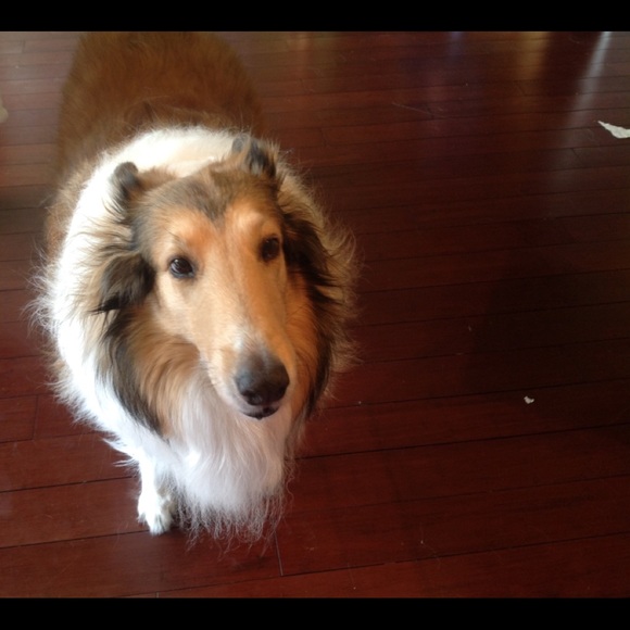 Profile Picture of Jaylee Gouger (@gougerjm) on Poshmark