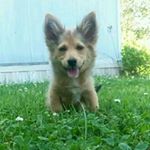 Profile Picture of Edward=weird😂 (@edward_mcmullin3) on Instagram