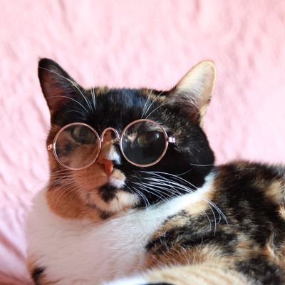 Profile Picture of Daniel Flint (@Gooserd) on Twitter