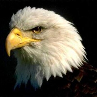 Profile Picture of Jose Dionicio (@josedionicio_) on Twitter