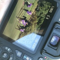 Profile Picture of Kenneth Phan (@kenneth-phan-4) on Quora