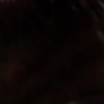 Profile Picture of David Kusinski (@david.kusinski.photography) on Instagram