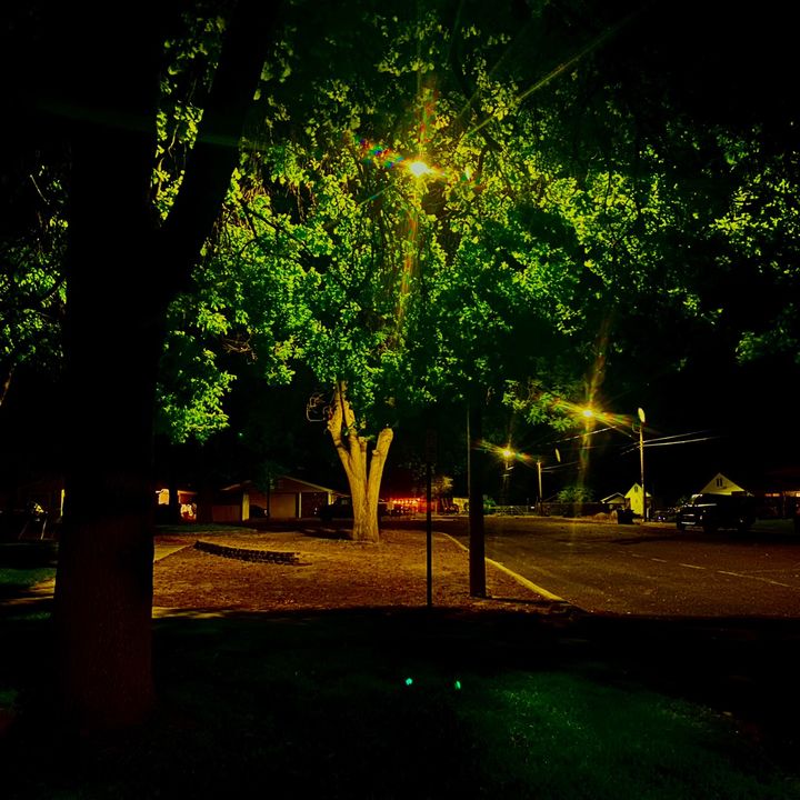 Profile Picture of shawn (@shawnrebel) on Tiktok