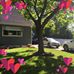 Profile Picture of Chon Chau (@chon.chau.9822) on Facebook