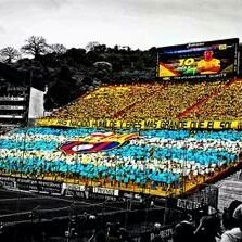 Profile Picture of Pedro Sotomayor J (@pedro86sj) on Twitter