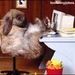 Profile Picture of max pepper (@maxpepper123) on Pinterest