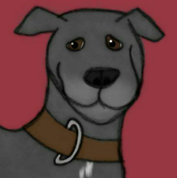 Profile Picture of James Chapman (@bluedogtreasure) on Poshmark