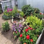 Profile Picture of Robert Miller (@kuzaevaroswell) on Instagram