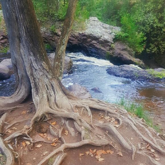 Profile Picture of Dorothy Hedican (@hedican15) on Poshmark