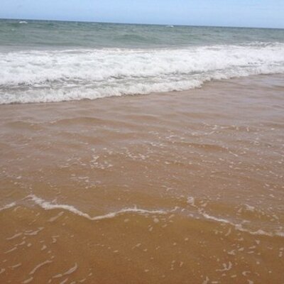 Profile Picture of Lisa Webster (@@RustyLNW) on Twitter