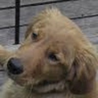 Profile Picture of Jason Mansfield (@jason-mansfield-27) on Quora