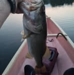 Profile Picture of Zack Truman (@Zack-Truman) on Facebook