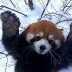 Profile Picture of Thomas Feist (@thomas.feist.144) on Instagram