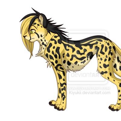 Profile Picture of Rebekah Rose Womack (@rebekah_womack) on Twitter