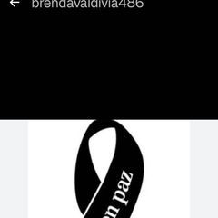 Profile Picture of Alexander Valdivia (@alexander.valdivi10) on Tiktok