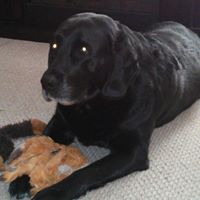 Profile Picture of Nathan Brun (@nathan-brun-1) on Quora